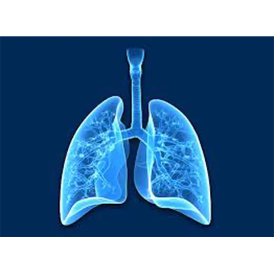lung expert: pulmonologist